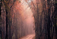 华体会体育官网:理疗师谈拉维亚:反复伤病会影响心理,他相信这一切会结束.