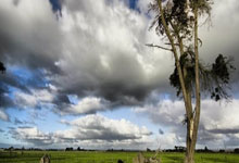 别走!玩这款复古微变传奇!随时随地爆装回收,不充值也玩的爽!.