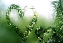 亚布力赛区亚冬氛围满满 巨型雪人成网红打卡点央视新闻客户端.